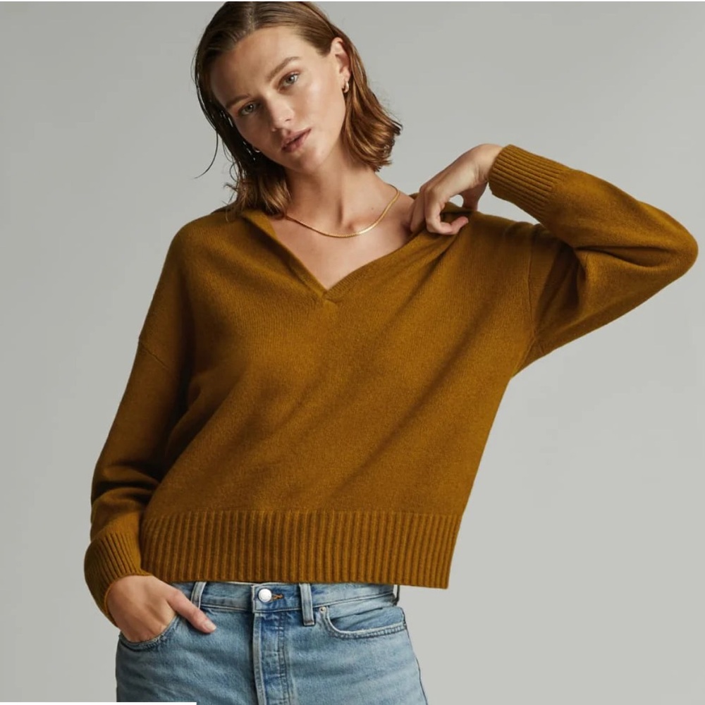 Everlane Cashmere Polo Sweater